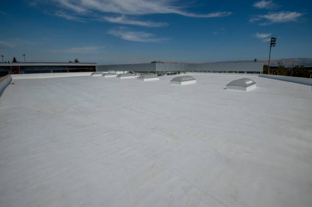 Best Emergency Roof Repair Services  in Colona, IL