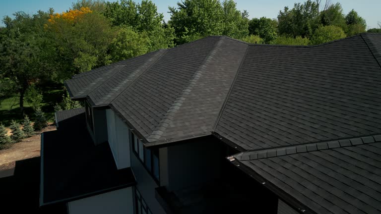Best Storm Damage Roof Repair  in Colona, IL